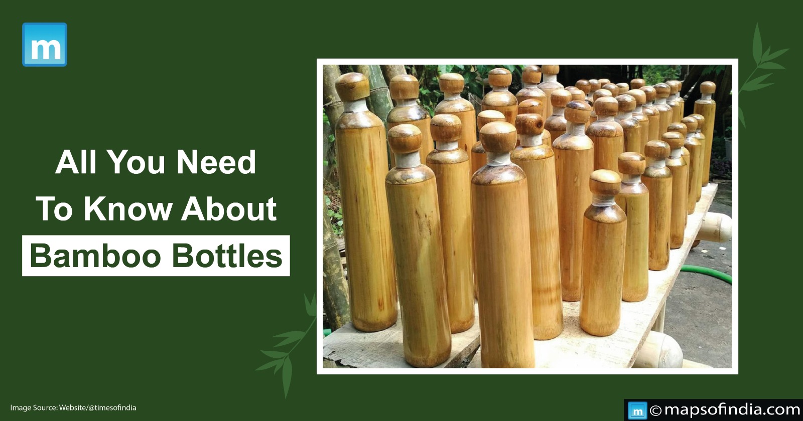 All You Need To Know About Bamboo Bottles Benefits