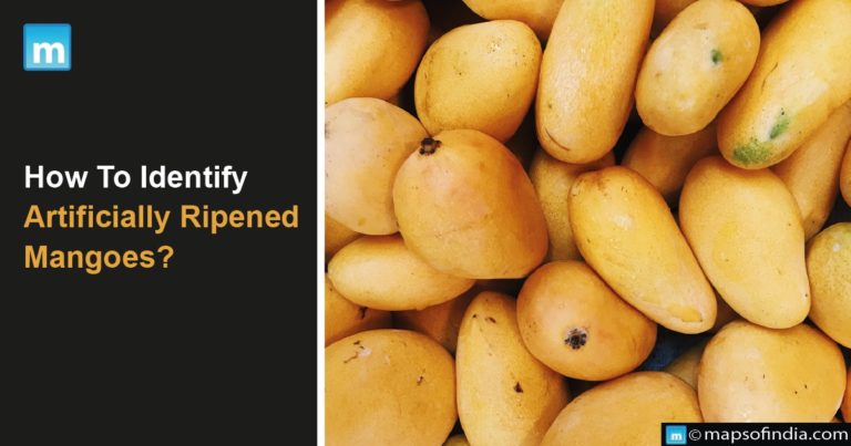 How To Identify Artificially Ripened Mangoes?