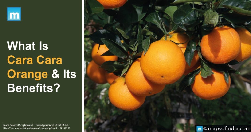 What Is Cara Cara Orange & Its Benefits? - Benefits