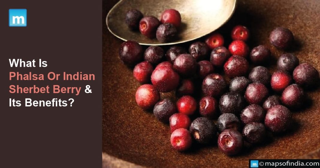 What Is Phalsa Or Indian Sherbet Berry & Its Benefits? Food