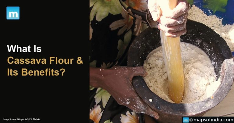 What Is Cassava Flour And Its Benefits?