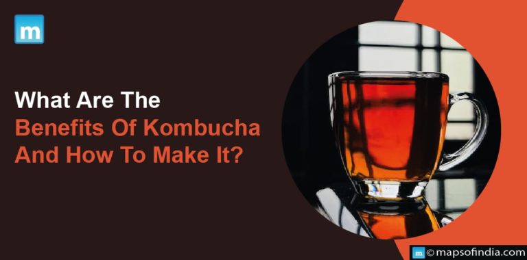 What Are The Benefits Of Kombucha And How To Make It?