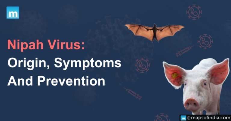 Nipah Virus: Origin, Symptoms And Prevention