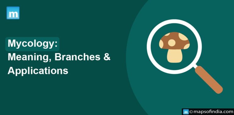 Mycology: Meaning, Branches & Applications