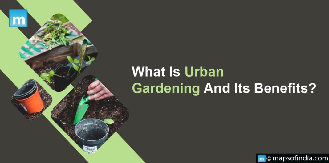 What Is Urban Gardening And Its Benefits? Benefits