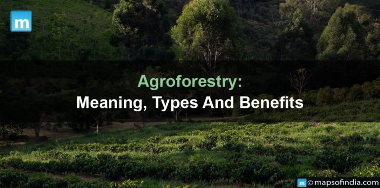 Agroforestry: Meaning, Types And Benefits