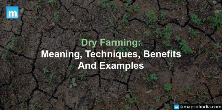 Dry Farming: Meaning, Techniques, Benefits And Examples