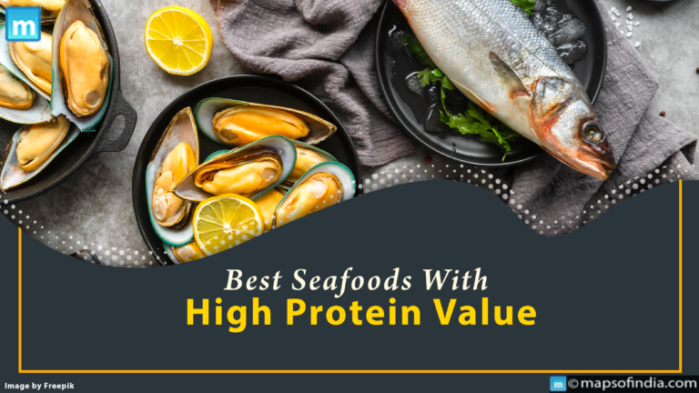Best Seafoods With High Protein Value