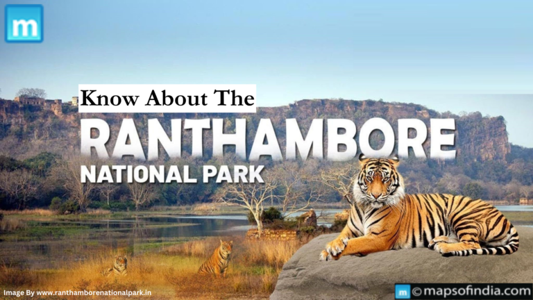 Know About The Ranthambore National Park