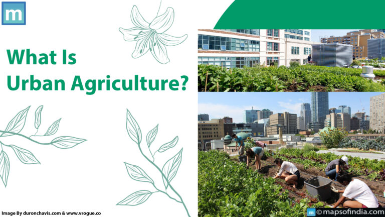 What Is Urban Agriculture?
