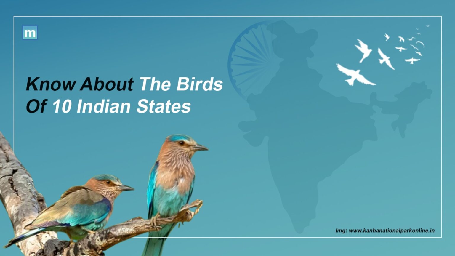 Know About The Birds Of 10 Indian States - Animals