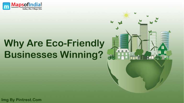 Why Are Eco-Friendly Businesses Winning?