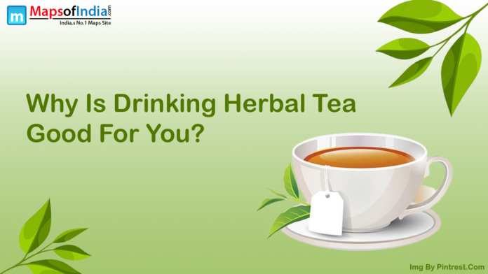 herbal tea surrounded by fresh herbs, symbolizing the health advantages of herbal infusions