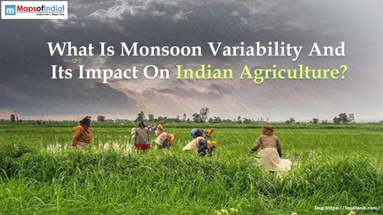 What Is Monsoon Variability And Its Impact On Indian Agriculture?