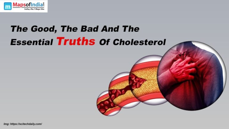 The Good, The Bad And The Essential Truths Of Cholesterol
