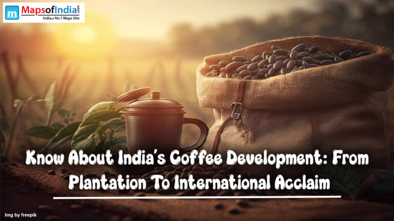 Know About India’s Coffee Development: From Plantation To International Acclaim