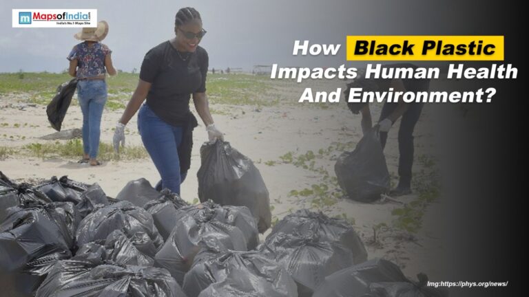 How Black Plastic Impacts Human Health And Environment?