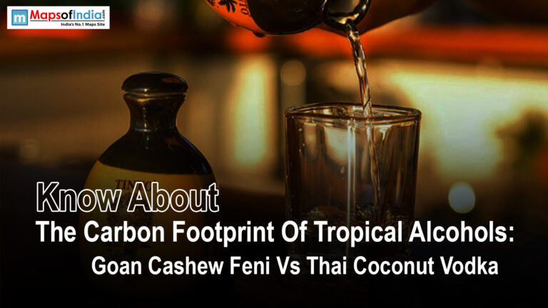 Know About The Carbon Footprint Of Tropical Alcohols: Goan Cashew Feni Vs Thai Coconut Vodka