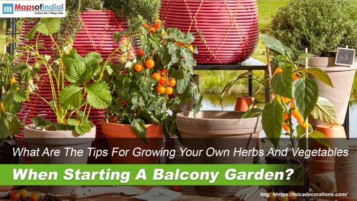 what are tips for growing own herbs and vegetables