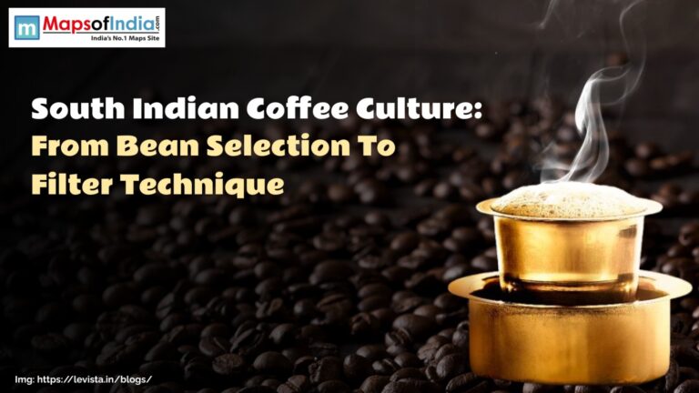 South Indian Coffee Culture: From Bean Selection To Filter Technique