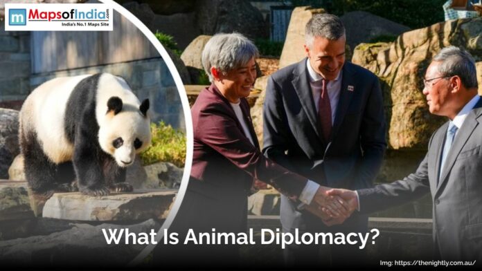 What Is Animal Diplomacy? – Animals
