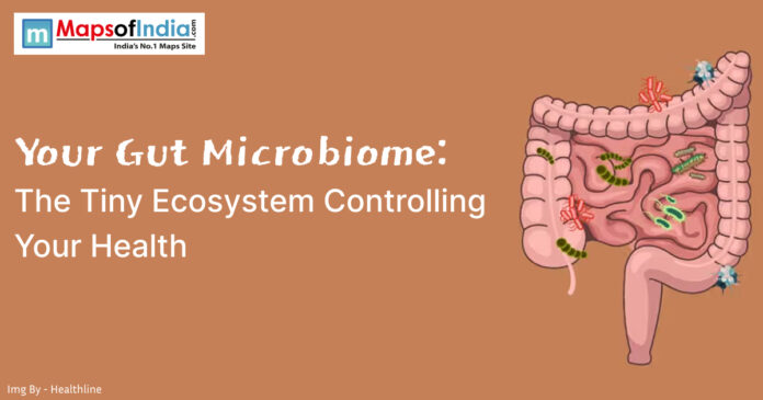Illustration of the human gut with microbiome bacteria representing the connection between digestive health and overall wellness.