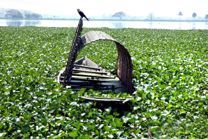 Kumbalangi Village in Kerala