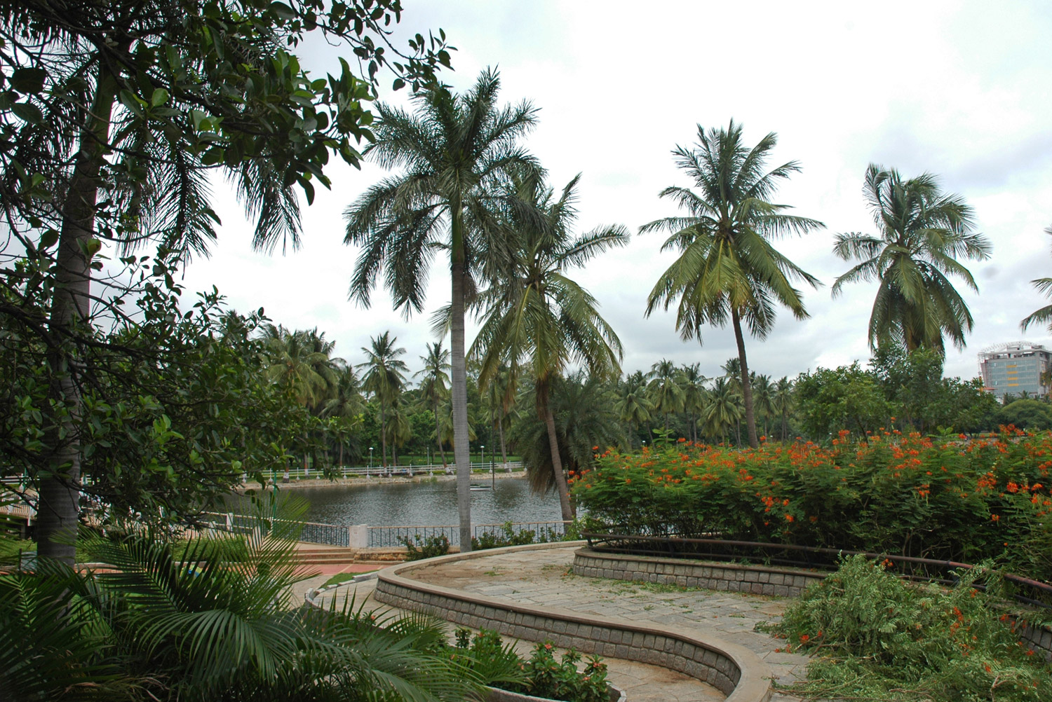 Indira Park, Hyderabad