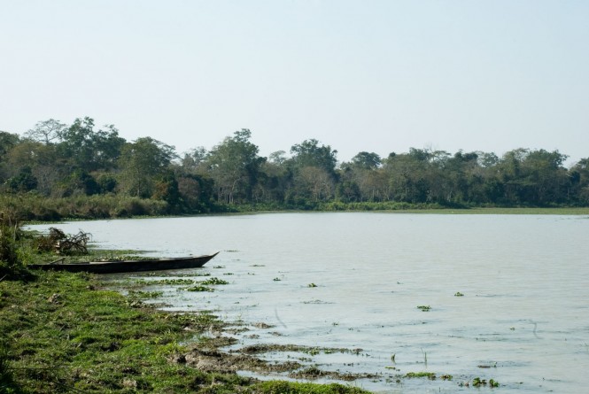 Kaziranga National Park, Assam