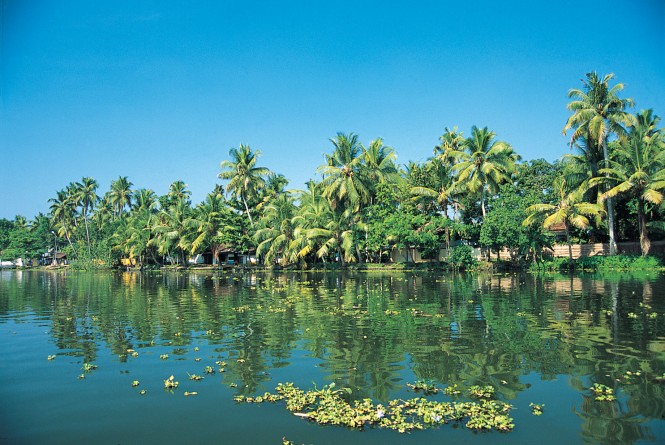 Backwaters of Kerala