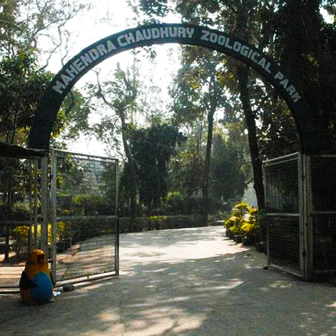 Lion Safari Zoo near Chandigarh