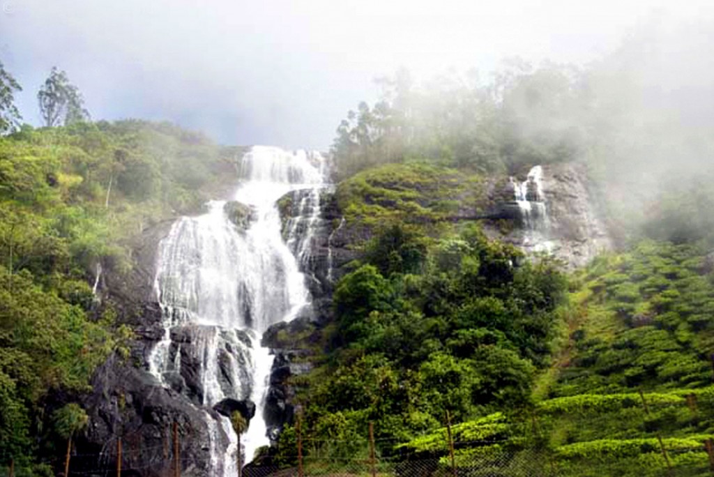 Relish the Exotic Waterfalls in Munnar