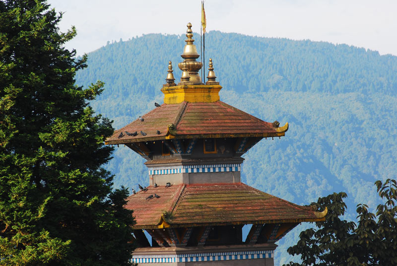 Rooftop Of A Gompa Near Darjeeling Train Station