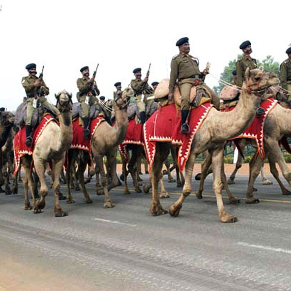 Indian border security force on camel-back