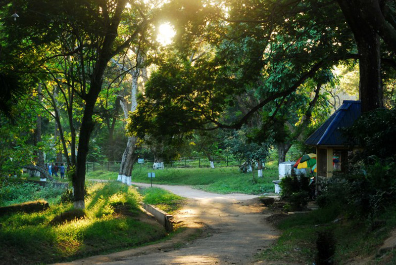 Beautiful evening in Guwahati Zoo