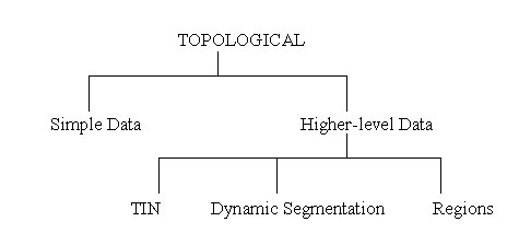 Topological Vector Data
