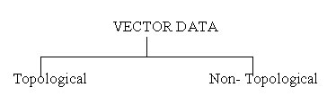 Vector Data Structure