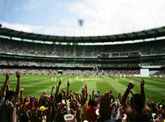 WarofCricket.com