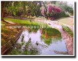 Buddha Jayanti Park during Spring