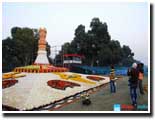 National Emblum at Rashtrapati Bhawan Road Side