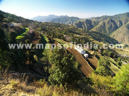 View of the Valley Chamba