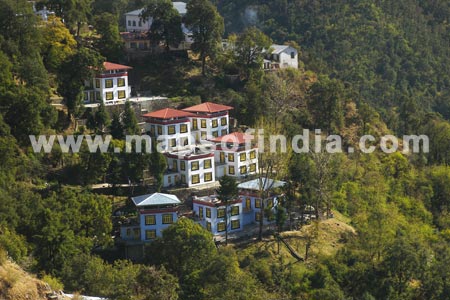 Houses And Trees