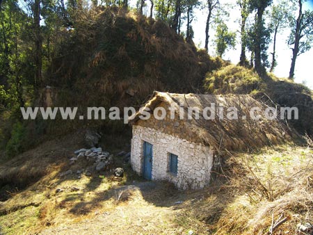 Hut Amidst Trees