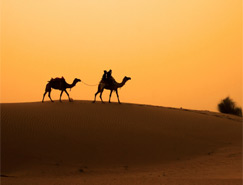 Desert