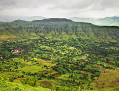 Plains of Northern India