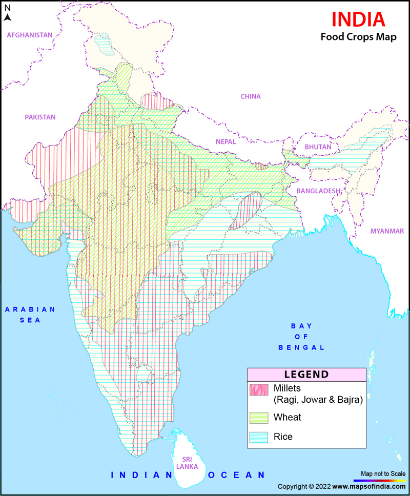 Food Crops Map Of India Food Crops In India