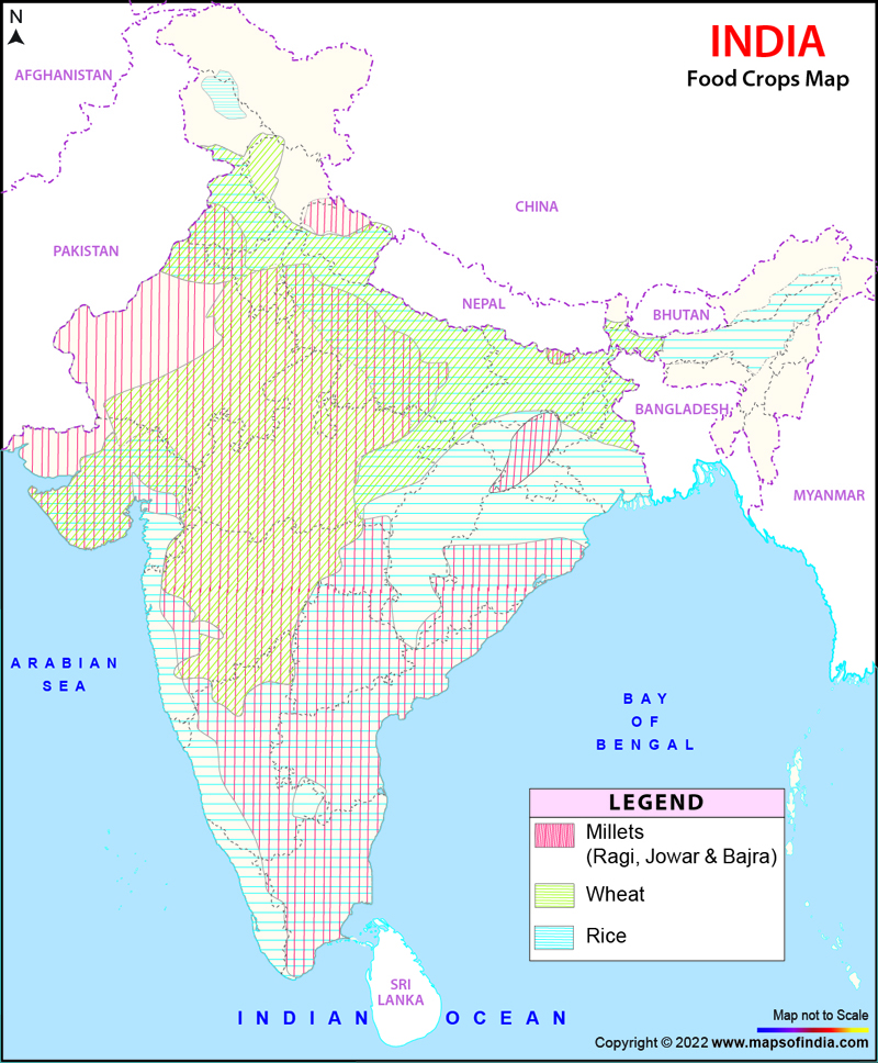  Major Food Crops In India Short Essay On Food Crops In India 2019 01 23