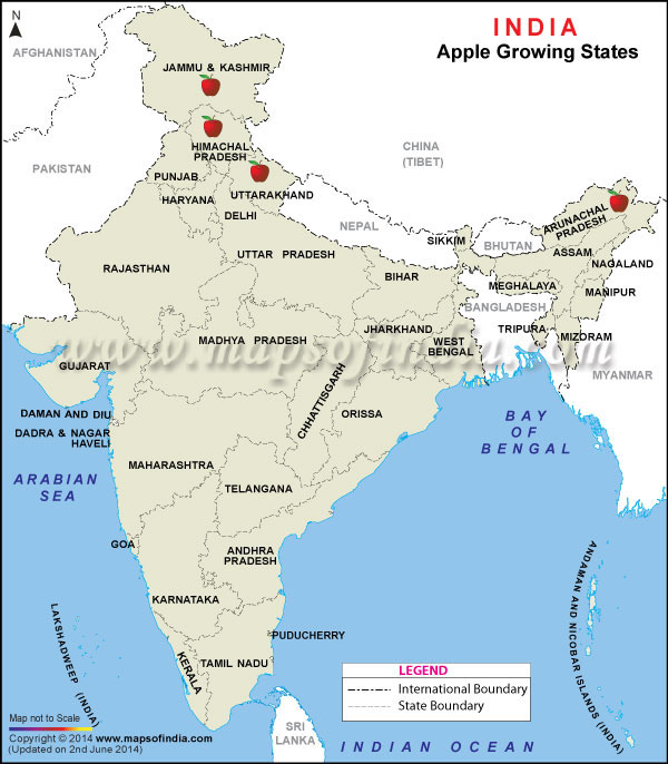 Apple Producing States Map