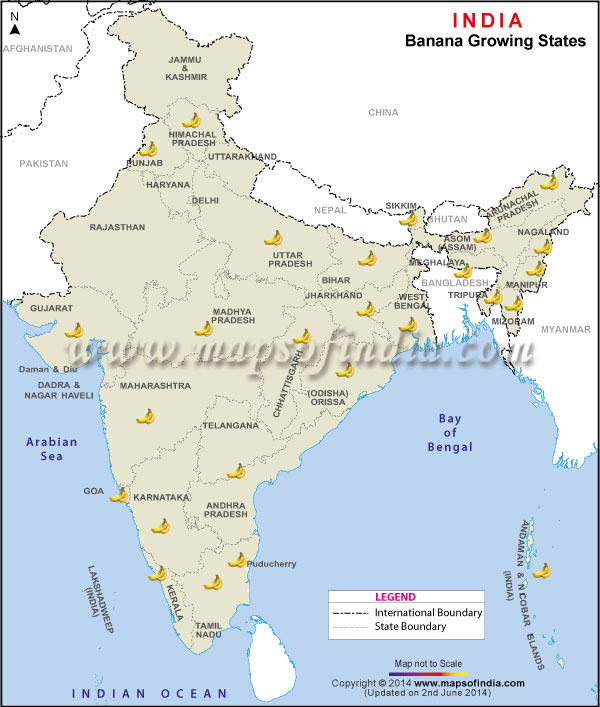 Banana Producing States Map Banana Producing States Map