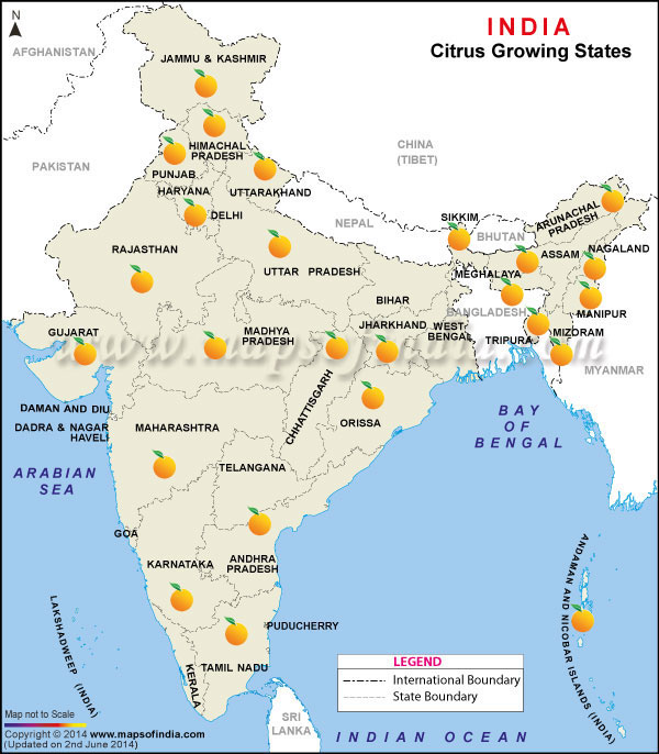 Citrus Producing States Map